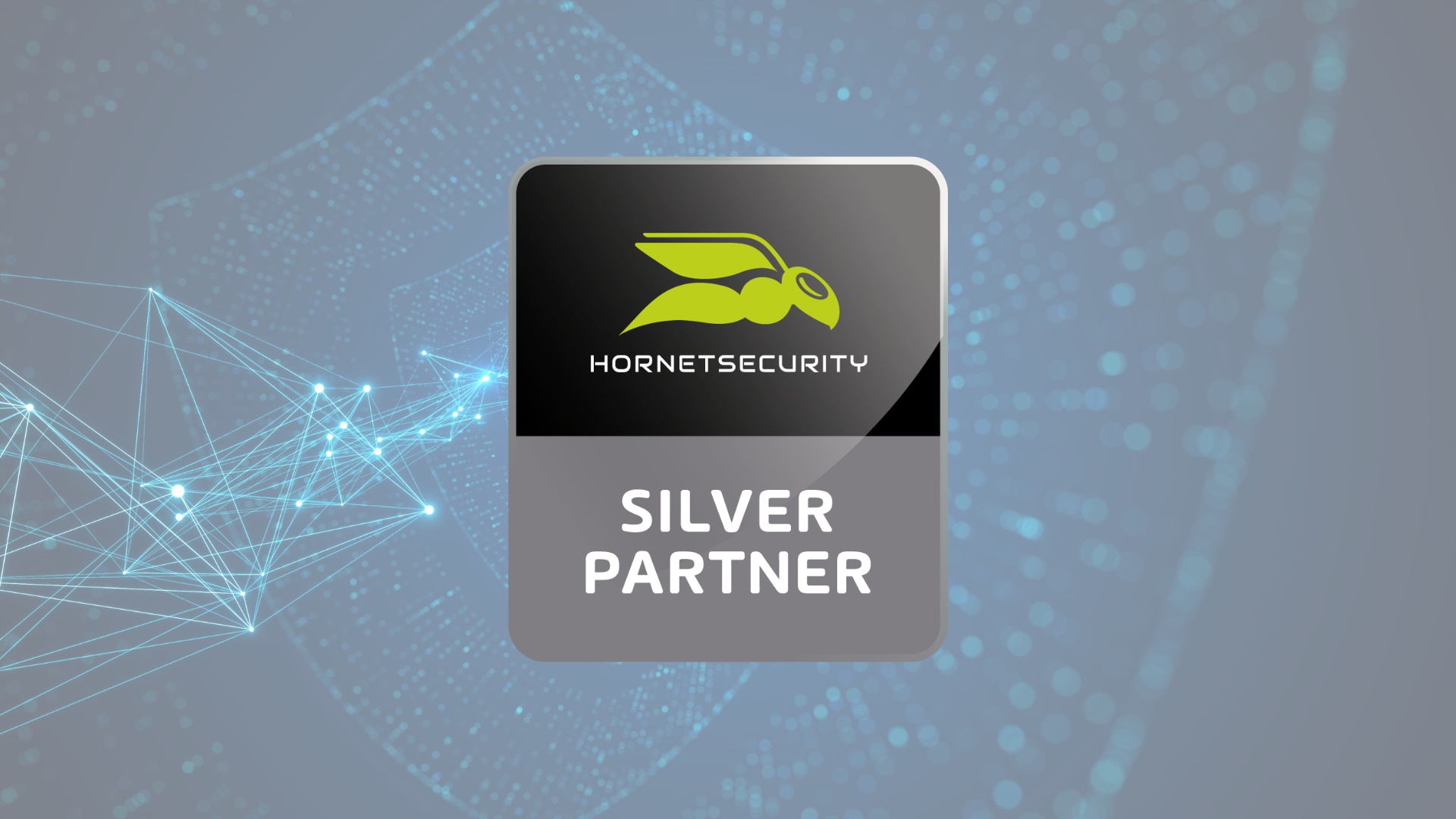 Hornetsecurity Silber Partner